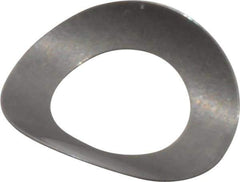 Gardner Spring - #5 Bolt, 0.135" ID, Grade 301 Stainless Steel, Curved Disc Spring - 0.245" OD, 0.049" High, 0.004" Thick - Apex Tool & Supply