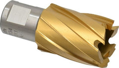 Hougen - 1-1/16" Diam x 1" Deep High Speed Steel Annular Cutter - Apex Tool & Supply