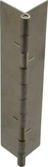 Value Collection - 5" Long x 2" Wide x 0.05" Thick, Spring Hinge - Stainless Steel - Apex Tool & Supply