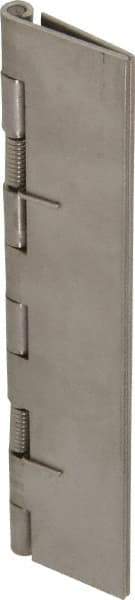 Value Collection - 5" Long x 2" Wide x 0.05" Thick, Spring Hinge - Stainless Steel - Apex Tool & Supply