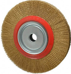 Value Collection - 12" OD, 1-1/4" Arbor Hole, Crimped Brass-Coated Steel Wheel Brush - 1-21/32" Face Width, 2-3/8" Trim Length, 0.012" Filament Diam, 3,000 RPM - Apex Tool & Supply