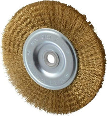 Value Collection - 6" OD, 5/8" Arbor Hole, Crimped Brass-Coated Steel Wheel Brush - 1/2" Face Width, 1-3/8" Trim Length, 0.012" Filament Diam, 3,750 RPM - Apex Tool & Supply