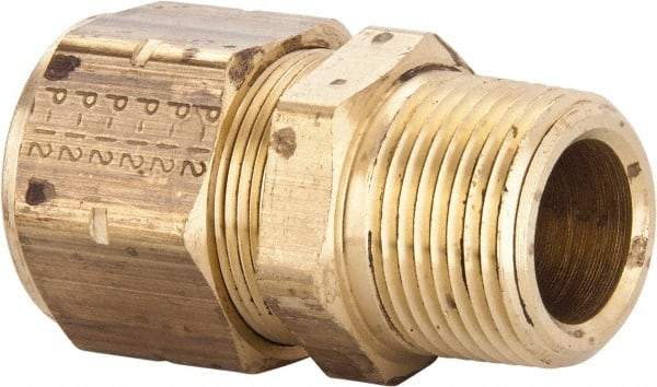 Parker - 3/4" OD, Brass Male Connector - 100 Max Working psi, 1-3/16" Hex, Comp x MNPT Ends - Apex Tool & Supply