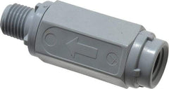 Specialty Mfr - 1/4" PVC Check Valve - Inline, MNPT x FNPT, 125 WOG - Apex Tool & Supply