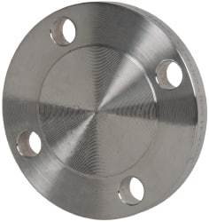 Merit Brass - 2" Pipe, 6" OD, Stainless Steel, Blind Pipe Flange - 4-3/4" Across Bolt Hole Centers, 3/4" Bolt Hole, 150 psi, Grades 304 & 304L - Apex Tool & Supply