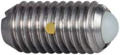 Vlier - M8x1.25, 5mm Ball Diam, 16mm Body Length, 1.5mm Max Ball Reach, Threaded Ball Plunger - Stainless Steel Body, Nylon Ball, 9 Lb Initial End Force, 13.49 Lb Final End Force, Locking Element - Apex Tool & Supply