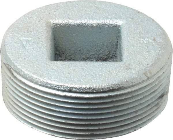 Cooper Crouse-Hinds - 2" Trade, Cast Iron Threaded Rigid/Intermediate (IMC) Conduit Plug - Noninsulated - Apex Tool & Supply