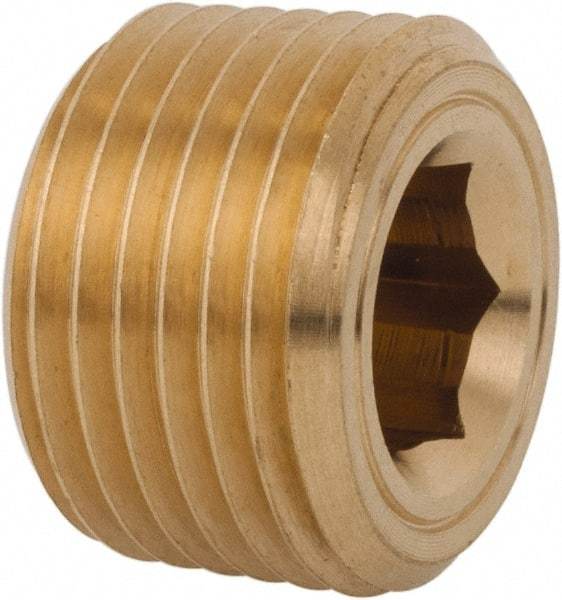 Legris - 1/2 Male Thread, Brass Industrial Pipe Hollow Hex Plug - MBSPT, 3,626 psi - Apex Tool & Supply