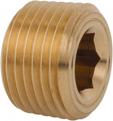 Legris - 1/2 Male Thread, Brass Industrial Pipe Hollow Hex Plug - MBSPT, 3,626 psi - Apex Tool & Supply