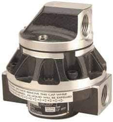 GPI - 1/2" FNPT Port Oval Gear Flowmeter - 800 Max psi, 0.3 to 7.9 GPM, Stainless Steel - Apex Tool & Supply