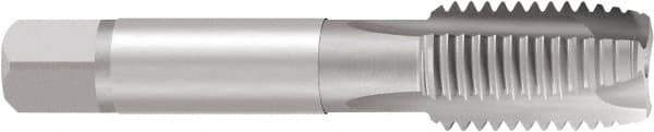 Emuge - 1/4-20 UNC, 3 Flute, Nitride Finish, Cobalt Spiral Point Tap - Plug Chamfer, Right Hand Thread, 2-1/2" OAL, 0.669" Thread Length, 0.255" Shank Diam, Series Rekord B - Exact Industrial Supply