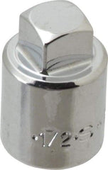 SK - 1/2" Drive, 1/2" Socket, Male Pipe Plug Socket - 4 Points, 1-3/8" OAL - Apex Tool & Supply