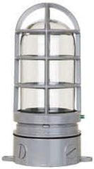 Cooper Crouse-Hinds - 120 Volt, 100 Watt, Incandescent Hazardous Location Light Fixture - Vaporproof, Corrosion & Heat Resistant, Aluminum Housing, 4-1/4" Wide x 8-7/8" High - Apex Tool & Supply