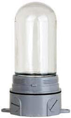 Cooper Crouse-Hinds - 120 Volt, 100 Watt, Incandescent Hazardous Location Light Fixture - Vaporproof, Corrosion & Heat Resistant, Aluminum Housing, 3-3/8" Wide x 8-1/2" High - Apex Tool & Supply