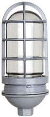 Cooper Crouse-Hinds - 120 Volt, 100 Watt, Incandescent Hazardous Location Light Fixture - Vaporproof, Corrosion & Heat Resistant, Aluminum Housing, 4-1/4" Wide x 9-3/8" High - Apex Tool & Supply