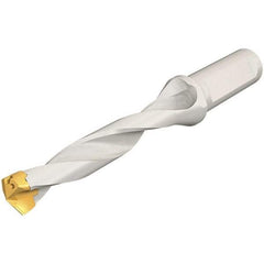 Iscar - 10 to 10.9mm Diam, 5xD, 50mm Max Depth, 16mm Shank Diam, Replaceable Tip Drill - 10 Seat Size, DSM Toolholder, Series ChamDrillJet - Apex Tool & Supply