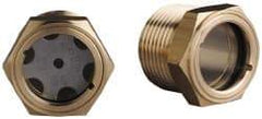 Trico - 2" Sight Diam, 1-1/2" Thread, 1-11/32" OAL, Viewport Sight Glass & Flow Sight - 2" Hex Head, With Baffle - Apex Tool & Supply