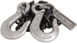 Lift-All - 5' Long x 3-1/2" Wide, 4,300 Lb Basket Capacity, Alloy Steel Web Sling - 4,300 Lb Choker Capacity, SSS Chain Sling, 9/32" Diam Chain, Natural, Single Style - Apex Tool & Supply