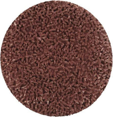 Made in USA - 1-1/2" Disc Diam, 600 Grit, Aluminum Oxide Quick Change Disc - Type R Attaching System, Coated, Brown, Super Fine Grade - Apex Tool & Supply