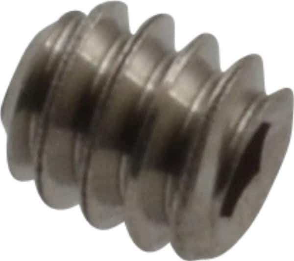 Value Collection - #4-40 UNC, 1/8" OAL, Cup Point Set Screw - Grade 18-8 Stainless Steel, 0.05" Key - Apex Tool & Supply