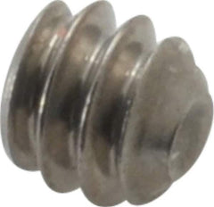 Value Collection - #6-32 UNC, 1/8" OAL, Cup Point Set Screw - Grade 18-8 Stainless Steel, 1/16" Key - Apex Tool & Supply
