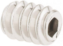 Value Collection - #6-32 UNC, 3/16" OAL, Cup Point Set Screw - Grade 18-8 Stainless Steel, 1/16" Key - Apex Tool & Supply