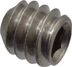 Value Collection - 1/4-20 UNC, 1/4" OAL, Cup Point Set Screw - Grade 18-8 Stainless Steel, 1/8" Key - Apex Tool & Supply
