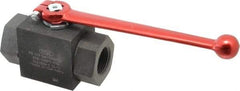 HYDAC - 1" Pipe, Carbon Steel Standard Ball Valve - 1 Piece, FNPT x FNPT Ends, Lever Handle, 6,000 WOG - Apex Tool & Supply