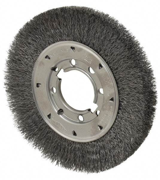 Osborn - 8" OD, 2" Arbor Hole, Crimped Steel Wheel Brush - 5/8" Face Width, 1-1/2" Trim Length, 0.0118" Filament Diam, 4,500 RPM - Apex Tool & Supply