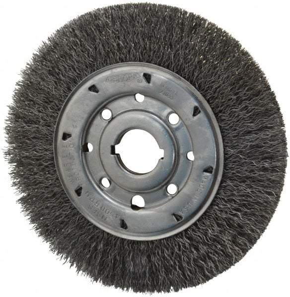 Osborn - 8" OD, 1-1/4" Arbor Hole, Crimped Steel Wheel Brush - 5/8" Face Width, 1-1/2" Trim Length, 0.014" Filament Diam, 4,500 RPM - Apex Tool & Supply