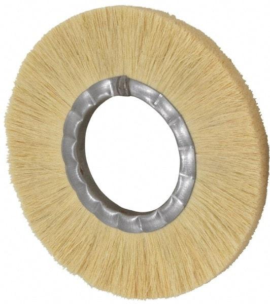 Osborn - 8" OD, 3-1/4" Arbor Hole, Crimped Natural Fiber Wheel Brush - 17/32" Face Width, 1-7/8" Trim Length, 4,800 RPM - Apex Tool & Supply