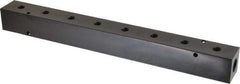 Made in USA - 3/8" Inlet, 1/8" Outlet Manifold - 12-1/4" Long x 1-1/4" Wide x 1-1/4" High, 0.2" Mount Hole, 2 Inlet Ports, 8 Outlet Ports - Apex Tool & Supply