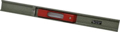 SPI - 12" Long, 0.001" Graduation Sensitivity per 10", 2 Vials, Machinists' Level - 1-3/32" Wide - Apex Tool & Supply
