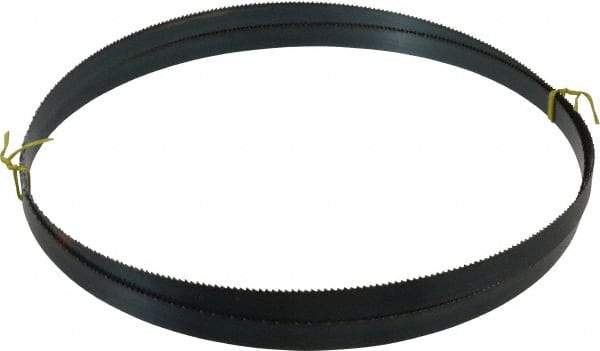 Starrett - 8 TPI, 10' 5" Long x 3/4" Wide x 0.032" Thick, Welded Band Saw Blade - Carbon Steel, Toothed Edge, Raker Tooth Set, Flexible Back, Contour Cutting - Apex Tool & Supply
