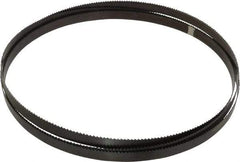 Starrett - 6 TPI, 10' 10-1/2" Long x 3/4" Wide x 0.032" Thick, Welded Band Saw Blade - Carbon Steel, Toothed Edge, Raker Tooth Set, Flexible Back, Contour Cutting - Apex Tool & Supply