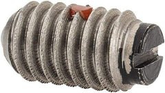 Gibraltar - 5/16-18, 0.156" Ball Diam, 0.578" Body Length, 0.04" Max Ball Reach, Threaded Ball Plunger - Stainless Steel Body, Nylon Ball, 4 Lb Initial End Force, 9 Lb Final End Force, Locking Element - Apex Tool & Supply