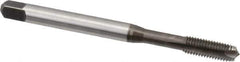 Emuge - 1/4-28 UNF, 3 Flute, Bright Finish, Cobalt Spiral Point Tap - Plug Chamfer, Right Hand Thread, 3.15" OAL, 0.669" Thread Length, 0.255" Shank Diam, 3BX Class of Fit - Exact Industrial Supply