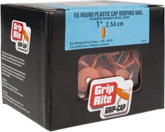 Value Collection - 2D, 12 Gauge, 1" OAL Roofing Nails - Ring Shank, 18-8 Steel, Zinc-Plated Finish - Apex Tool & Supply