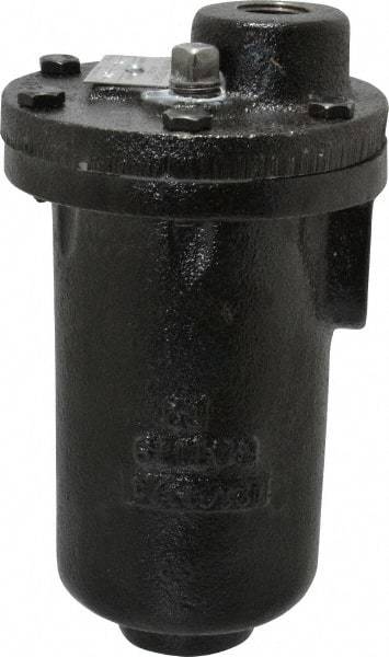 Hoffman Speciality - 3/4" NPT Inlet, 1/2" NPT Outlet, 250 Max psi, Cast Iron Water Vent - 350 Max Hydrostatic psi, 300°F Max - Apex Tool & Supply