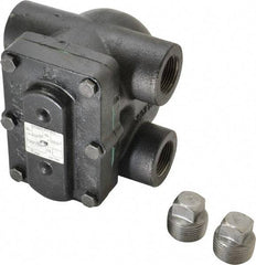 Hoffman Speciality - 1 Female" Pipe, Cast Iron Float & Thermostatic Steam Trap - 15 Max psi - Apex Tool & Supply