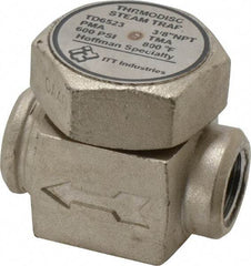 Hoffman Speciality - 3/8 Female" Pipe, Stainless Steel Thermodisc Steam Trap - 600 Max psi - Apex Tool & Supply