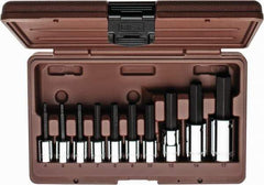 Paramount - 10 Piece 3/8 & 1/2" Drive Metric Hex Bit Socket Set - 4 to 17mm Hex - Apex Tool & Supply