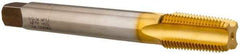 Hertel - 1/2-14 NPT, 4 Flute, Plug Chamfer, TiN Finish, High Speed Steel, Extension Pipe Tap - 6" OAL, 11/16" Shank Diam, 1-3/8" Thread Length - Apex Tool & Supply
