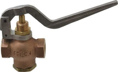 Kingston - 1/4" Pipe, 400 Max psi, Buna N Disc, Self Closing Control Valve - Squeeze Lever, FNPT x FNPT End Connections - Apex Tool & Supply