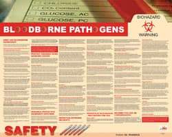 NMC - 30" Wide x 24" High Laminated Paper Bloodborne Pathogens Information Poster - English - Apex Tool & Supply