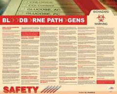 NMC - 30" Wide x 24" High Laminated Paper Bloodborne Pathogens Information Poster - English - Apex Tool & Supply