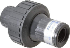 Plast-O-Matic - 1/2" PVC Check Valve - Inline, FNPT x FNPT, 150 WOG - Apex Tool & Supply