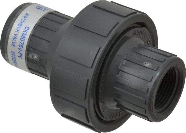 Plast-O-Matic - 3/4" PVC Check Valve - Inline, FNPT x FNPT, 150 WOG - Apex Tool & Supply