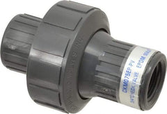 Plast-O-Matic - 3/4" PVC Check Valve - Inline, FNPT x FNPT, 150 WOG - Apex Tool & Supply