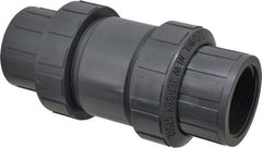 Plast-O-Matic - 2" PVC Check Valve - Inline, FNPT x FNPT, 150 WOG - Apex Tool & Supply